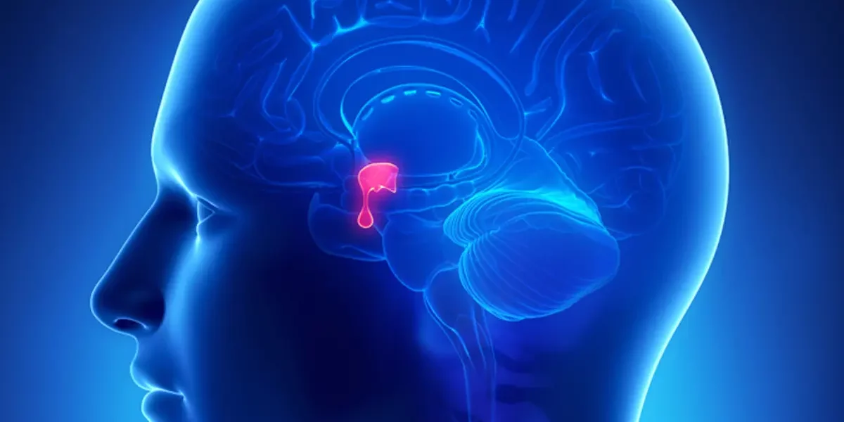 Pituitary Tumor
