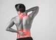 spine