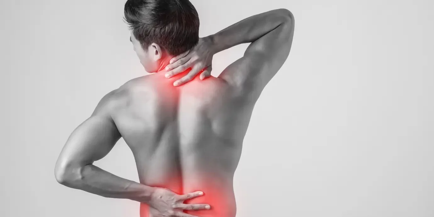 spine